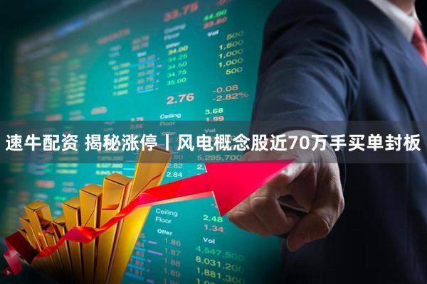 速牛配资 揭秘涨停丨风电概念股近70万手买单封板