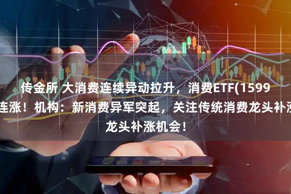 传金所 大消费连续异动拉升,消费ETF(159928)两连涨!机构:新消费异军突起,关注传统消费龙头补涨机会!