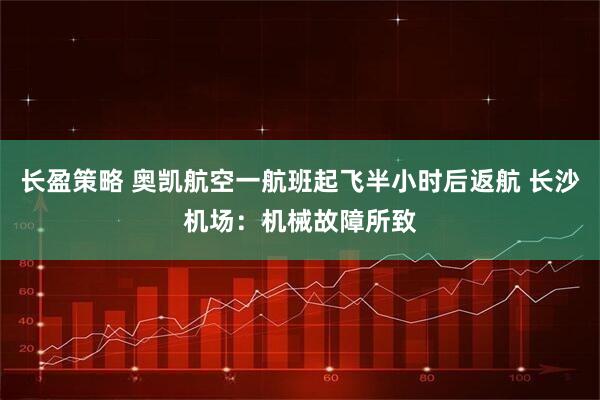 长盈策略 奥凯航空一航班起飞半小时后返航 长沙机场：机械故障所致