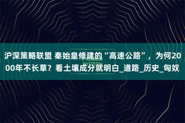 沪深策略联盟 秦始皇修建的“高速公路”,为何2000年不长草?看土壤成分就明白_道路_历史_匈奴